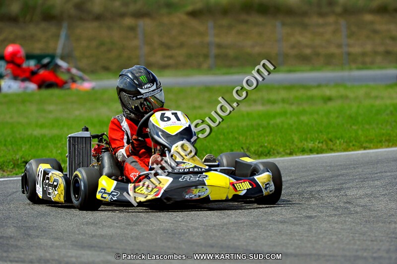 DSC_ (507).jpg